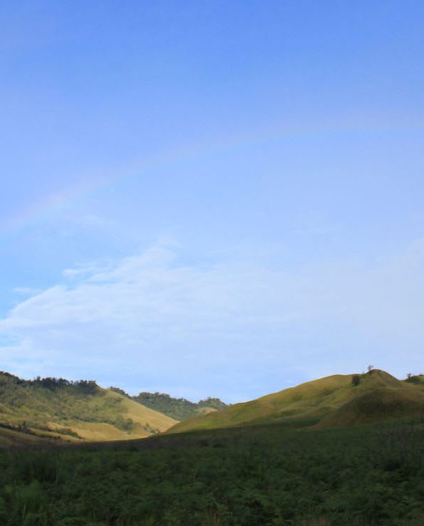 Savana Bromo - Bukit Teletubbies