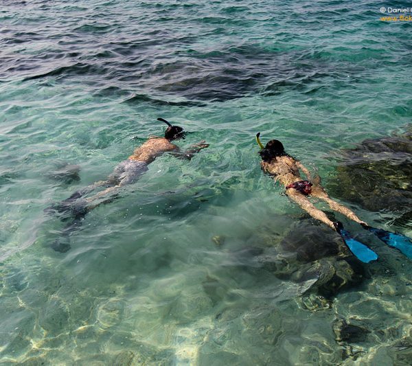 Snorkeling di Pualau Sepa