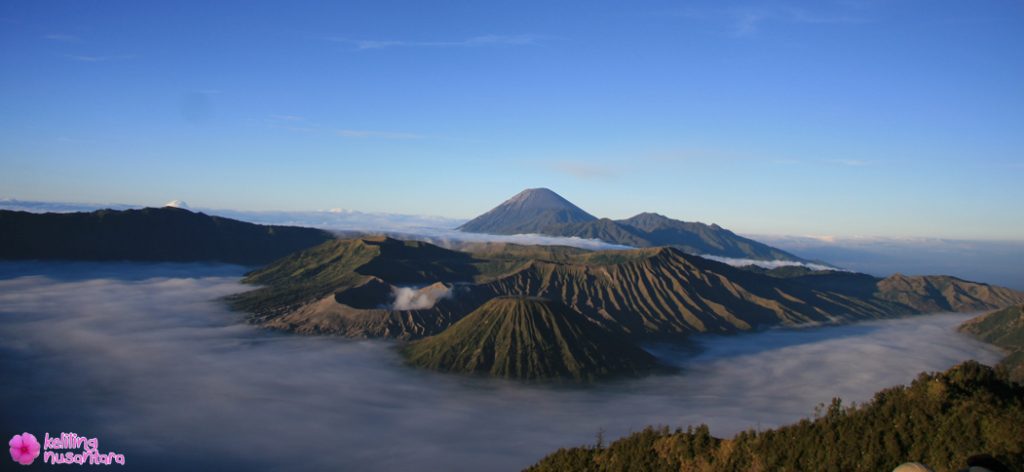 Bromo