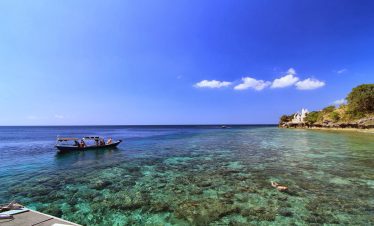 menjangan SNorkeling