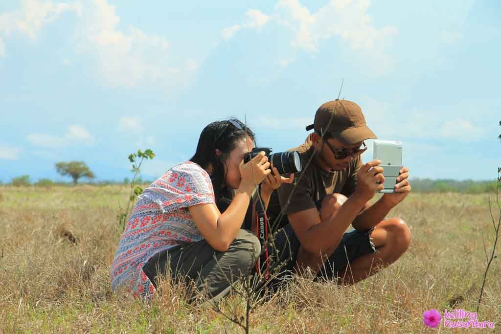 capturing wild animals activities in baluran national park
