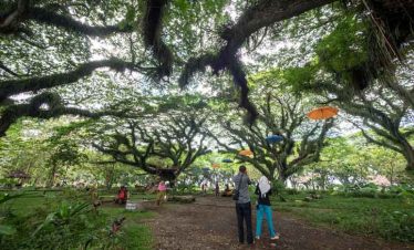 Family tour Jawatan Benculuk