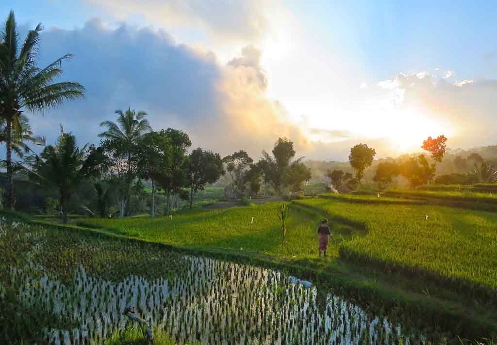 Moarning at Tetebatu village