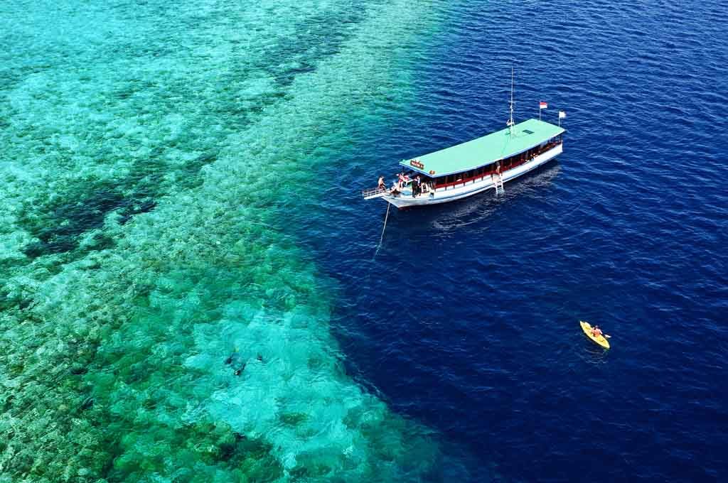 Wonderful Wakatobi