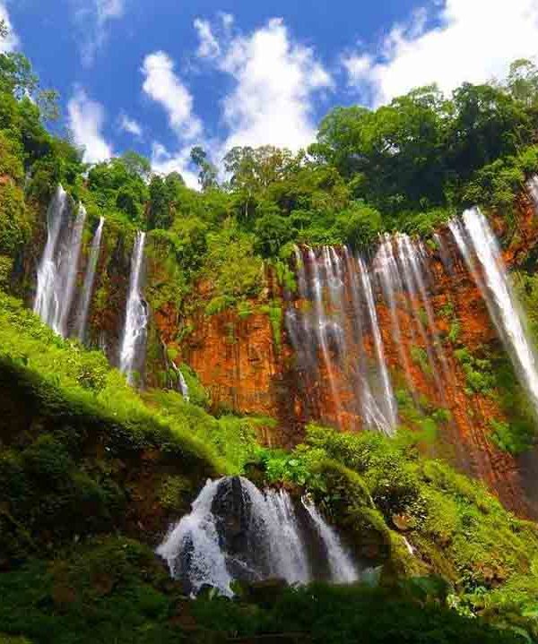 Day Tour Tumpak Sewu Waterfall Start from Malang