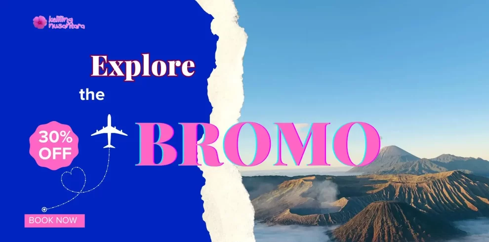 Mount bromo tour