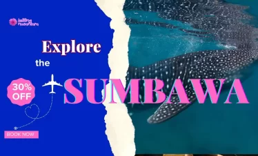 Whale Shark Tour Labuan Jambu : Explore no 1 Sumbawa’s the best Underwater Wonders