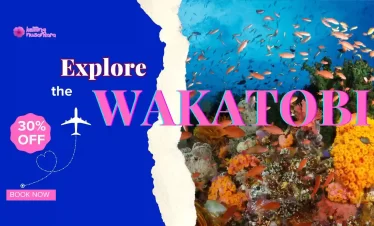 Wakatobi’s Ultimate Tour: A 6-Day Dive & Snorkel Adventure